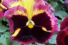 IMG_0036-1-scaled